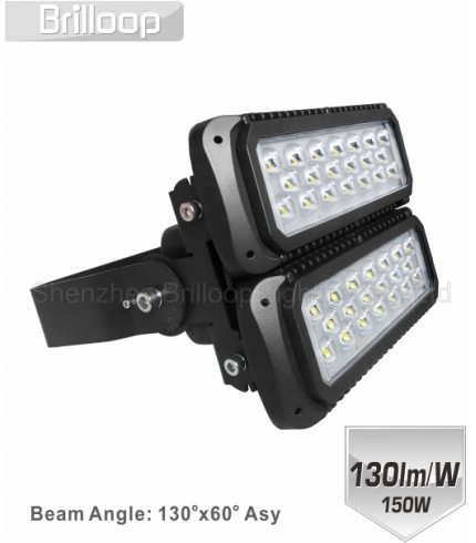 M17: 150W Modular Floodlight